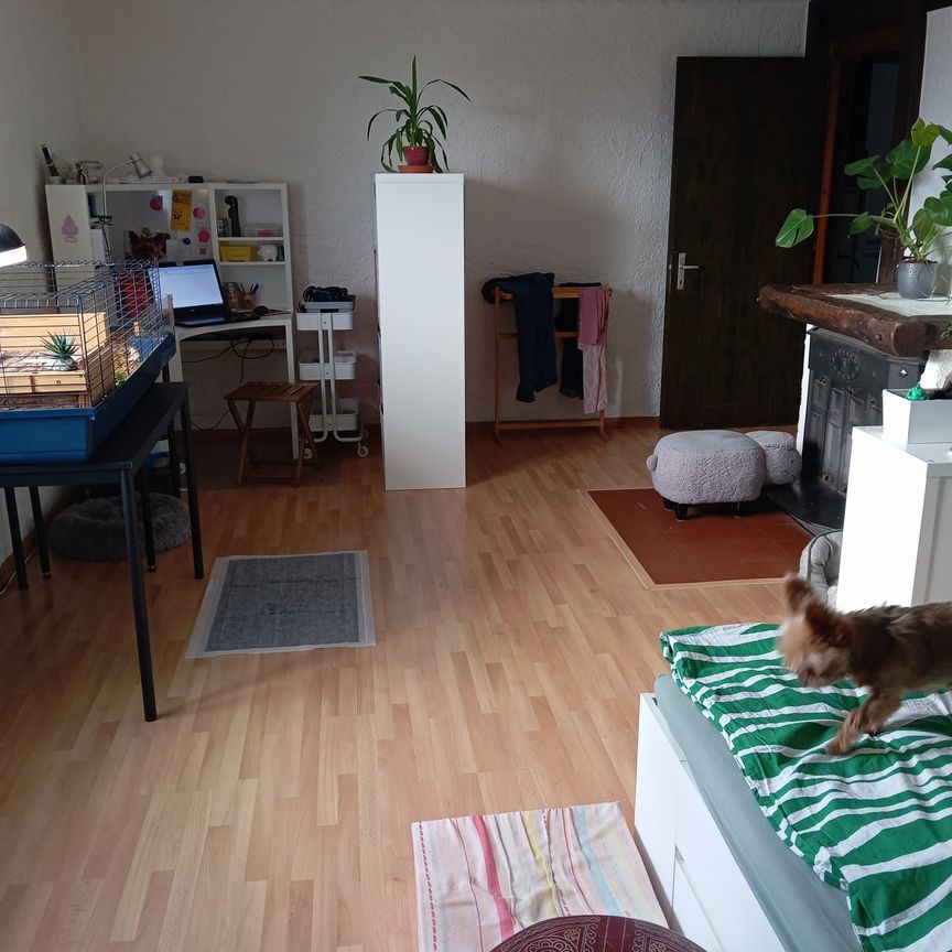 4.5 Zimmer, 102 m², EG - Photo 1