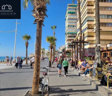 3 bedroom luxury Flat for rent in Benidorm, Spain - Photo 4