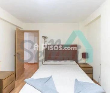 Piso en alquiler en Buenavista-El Cristo - Foto 3