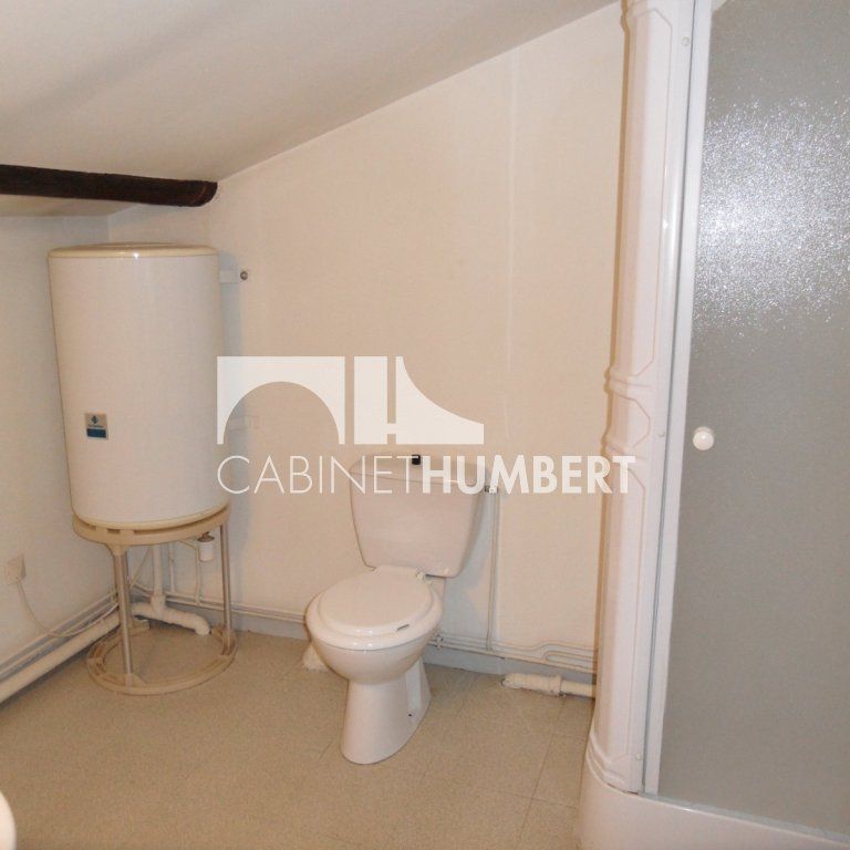 Location Appartement 1 pièce 18m² ST ETIENNE 42000 - Photo 1