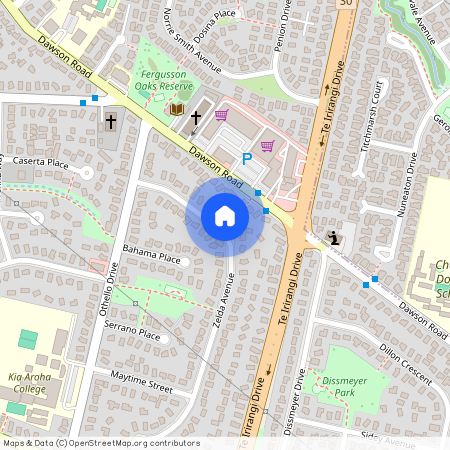 22 Zelda Avenue, Manukau City, Clover Park