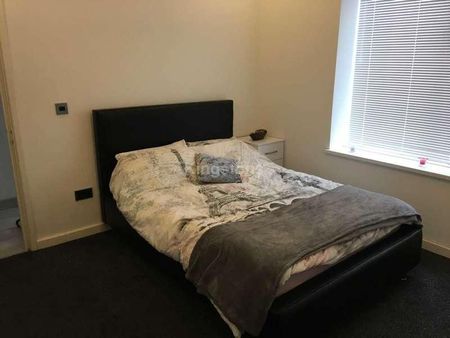 Cathays Terrace, Cathays, CF24 - Photo 3