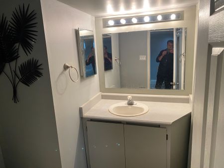 For Lease - 6419 Longspur Road Unit# Basement, Mississauga, Ontario - Photo 4