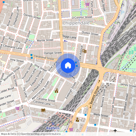 142 Abercrombie Street, Sydney, New South Wales 2016