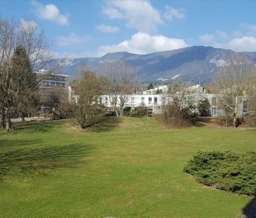 PARFAIT POUR LES CÉLIBATAIRES - Photo 3