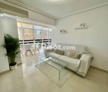Piso en alquiler en Calle Músico Vicente Spiteri Galiano, 1 - Photo 2