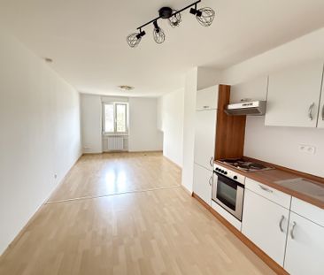 Location Appartement RANSPACH LE BAS 425 € CC - Photo 2