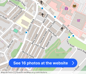 Theresa Street, Blaydon-Upon-Tyne, Gateshead - Photo 1