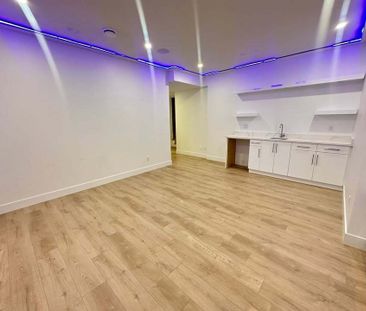 13185 236B Street, Maple Ridge (Ground Level Basement A ) - Photo 5