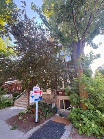 Appartement à louer - Montréal (Le Plateau-Mont-Royal) (Le Plateau-Mont-Royal) Appartement à louer - Montréal (Le Plateau-Mont-Royal) (Le Plateau-Mont-Royal) - Photo 2