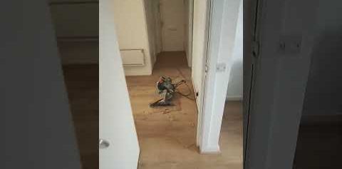 2 Bed Flat, Vane House, N2 - Photo 2