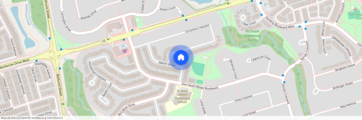 19 Marsh Street Unit# Bsmt, Richmond Hill