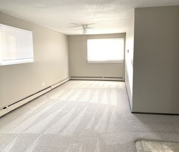 Studio Apartment in Riverside Meadows! - Photo 1