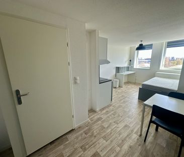 Location Appartement 1 pièce 22m² STRASBOURG 67000 - Photo 3