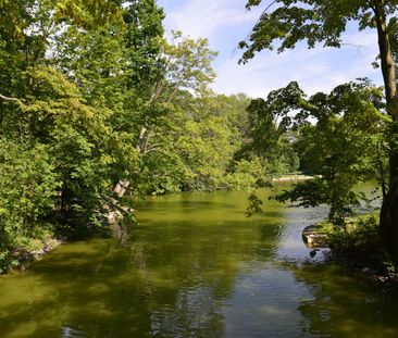 Zuhause in Lindenthal - Video online - Photo 1