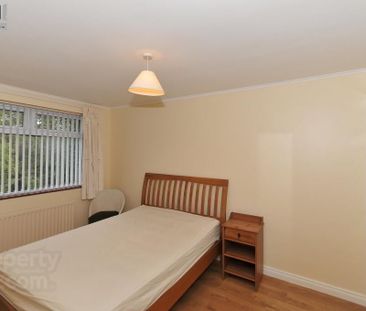 8 Woodbreda Avenue, Newtownbreda, BT8 7JJ, Belfast - Photo 3