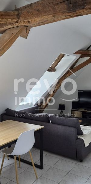 Location Appartement 2 pièces 38m² PELLOUAILLES LES VIGNES 49112 - Photo 1