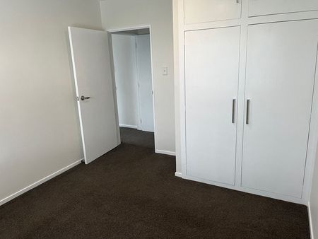 Sunny, freshly updated 2 bedroom unit - Photo 3