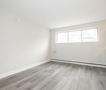 *STUNNING* 1 BEDROOM APARTMENT IN ST. CATHARINES!! - Photo 4