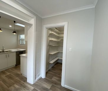 Renovated Family Home Awaiting New Tenants - Photo 1