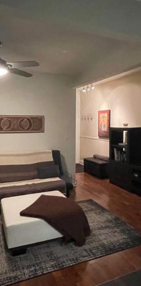3 1/2 - Montréal (Hochelaga / Maisonneuve) - 1 800 $/mois - Photo 1