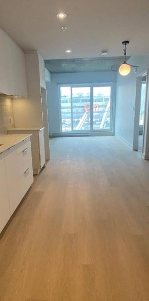 1 CH - 1 SDB - Montreal - $1,710 /mo - Photo 1