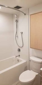 Brand New 1 Bedroom on 11th Floor - Photo 4