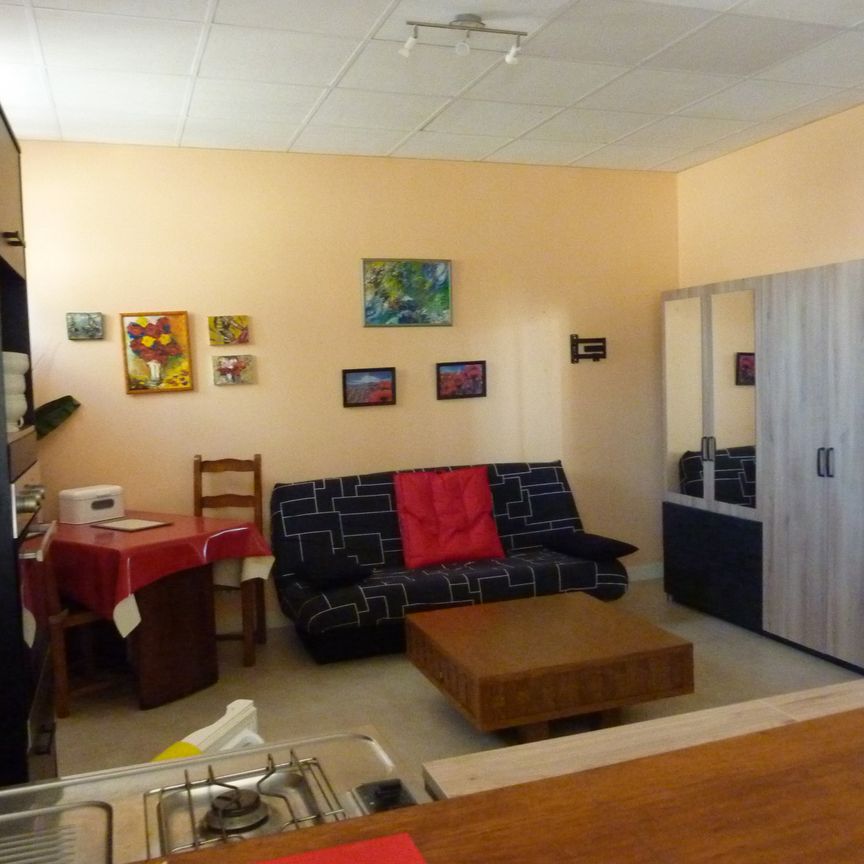 Location Appartement 1 pièce 40m² LATHUS ST REMY 86390 - Photo 1