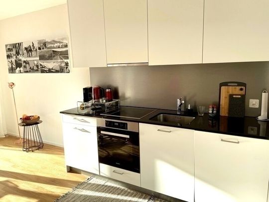 APPARTEMENT 2 PIÈCES À BÂLE - ISELIN, MEUBLÉ, TEMPORAIRE - Photo 1