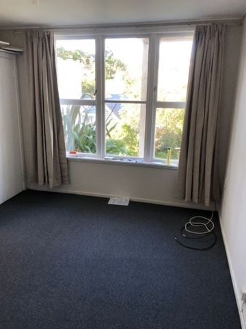 Hataitai Large bedsit - Photo 2