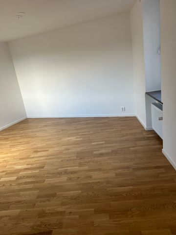 Grönalundsgatan, Limhamn - Photo 2