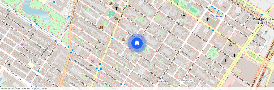 1322 Rue la Fontaine, Ville-Marie, H2L 1T3, Montréal