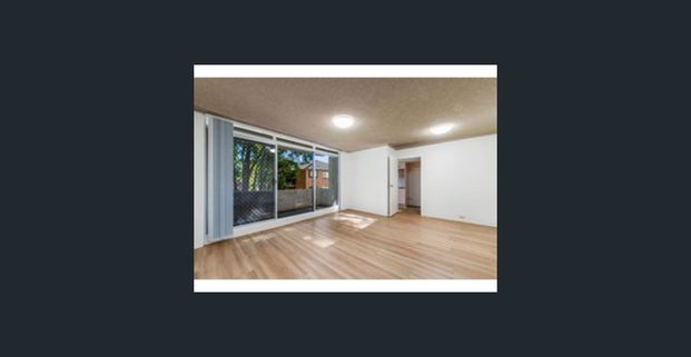 Neat and Tidy - Photo 1