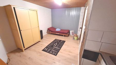 Charmante 1-Zimmer-Wohnung mit großer Terrasse - Photo 5