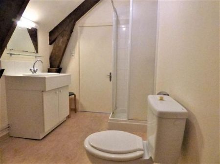 Appartement à louer, 1 pièce - Angers 49000 - Photo 4