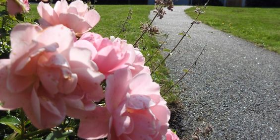 Johan skyttes väg 19 - Foto 3