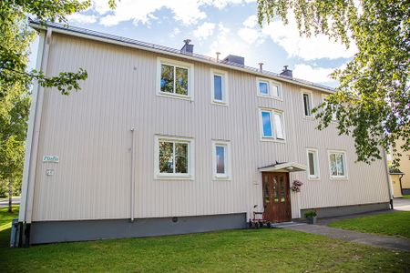 Djupviksgatan 25, 94133, Piteå - Photo 5