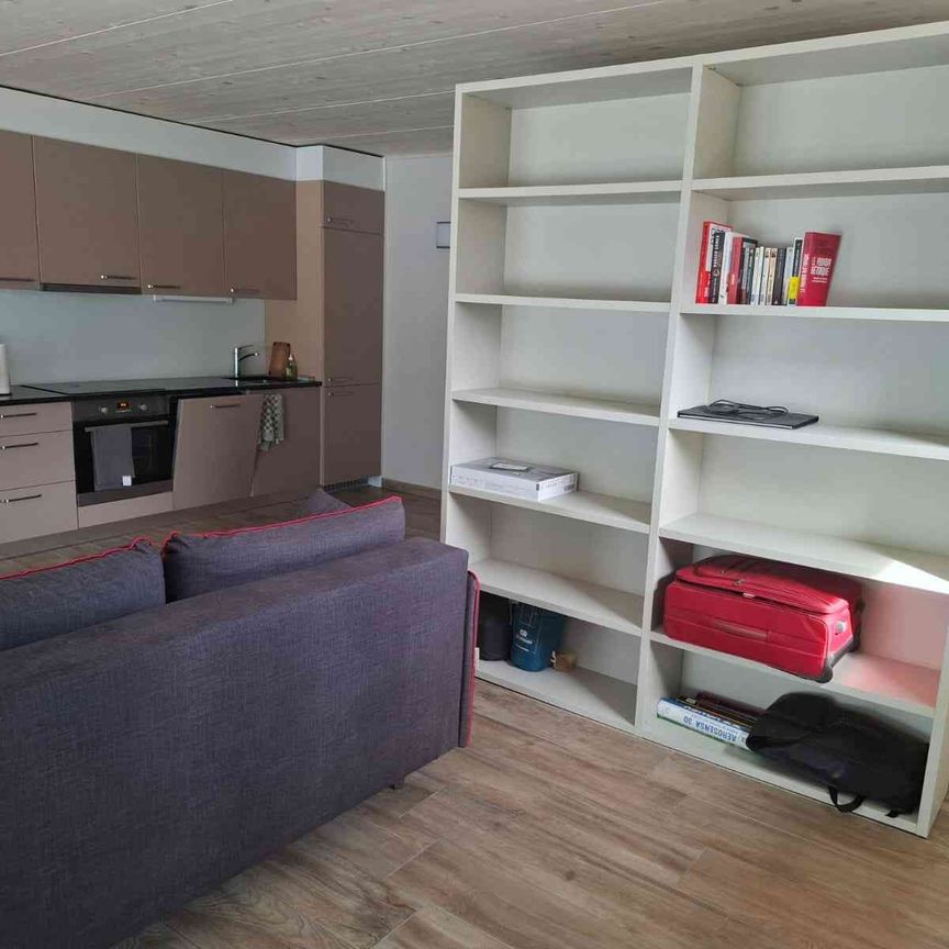 1.5 Zimmer, 45 m², 1. Stock - Foto 1