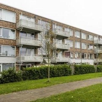 Hongkongdreef, 3564 JJ Utrecht, Nederland - Foto 4