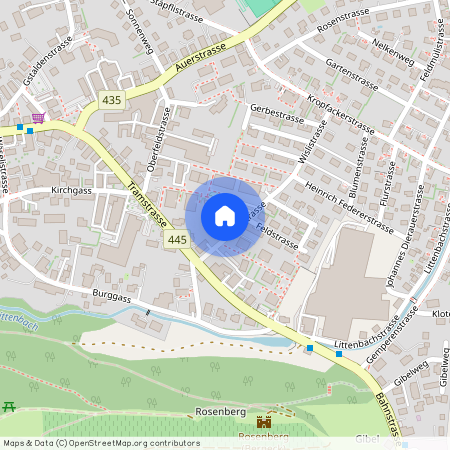 Wislistrasse 1 c, 9442 Berneck