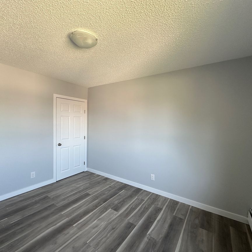 Modern and Spacious 2-Bedroom Apartment - SMALL PET FRIENDLY! - Photo 1