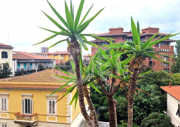 Appartamento Bilocale in Affitto con ampio balcone