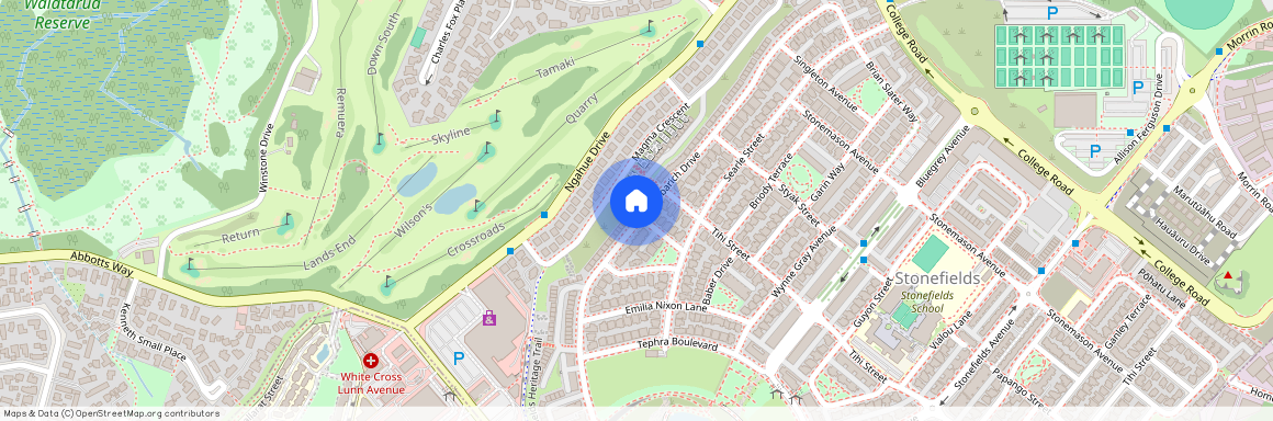 127 Barbarich Drive, Stonefields, Auckland City