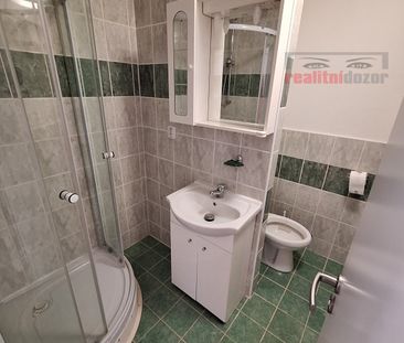 Pronájem bytu 1+1 33 m² - Fotografie 6