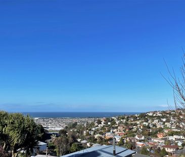 Unit B, 13 Henderson Street, Mornington, Dunedin - Photo 4