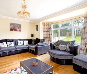 4 Bedroom House - Swanmore Road, Swanmore - Photo 3