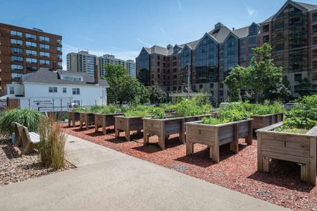Spring Garden - 1 Bedroom - Photo 4