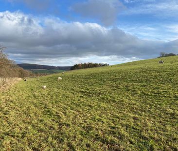 3 bedroom cottage to rent - Photo 4