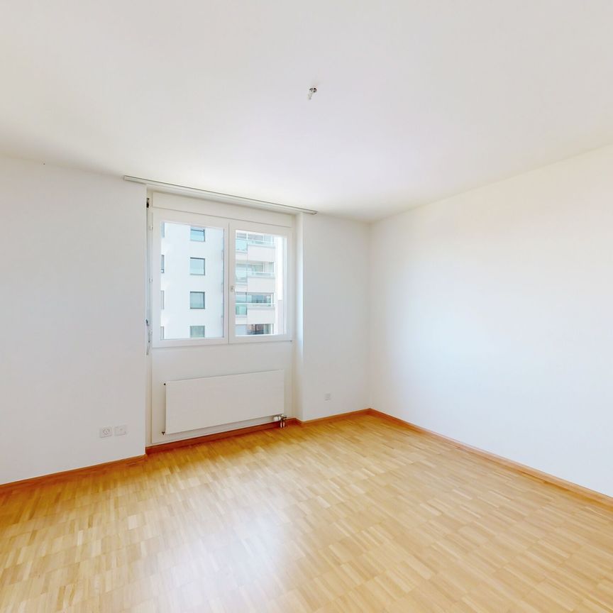 Sun-drenched and cozy apartment - Photo 1