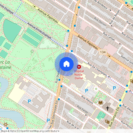 1518 Rue Sherbrooke O., Montréal (Ville-Marie)